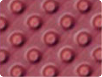 izostud-ms