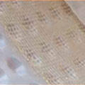izostud-plaster